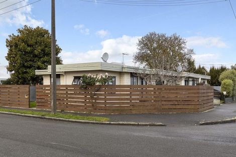 Photo of property in 20 Budge Street, Mayfield, Blenheim, 7201