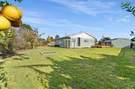 Photo of property in 9 Rimu Street, Edgecumbe, 3120