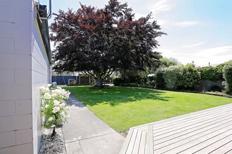 Photo of property in 12 Prince Street, Winton, 9720