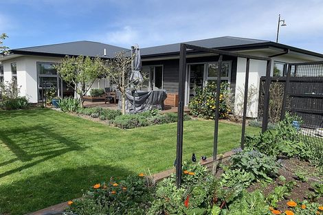 Photo of property in 19 Payne Court, Lincoln, 7608