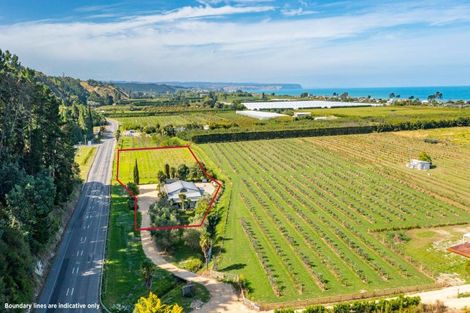 Photo of property in 724 Main North Road, Bay View, Napier, 4182