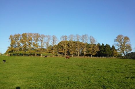 Photo of property in 351 French Pass Road, Karapiro, Cambridge, 3496