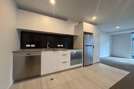 Photo of property in Pinnacle Apartments, W301/160 Victoria Street, Te Aro, Wellington, 6011
