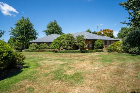 Photo of property in 64 Cowley Drive, Leamington, Cambridge, 3432