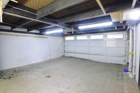 Photo of property in 101a Te Kawa Road, Greenlane, Auckland, 1061