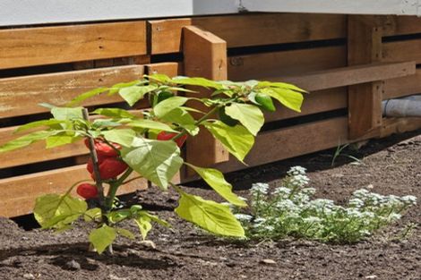 Photo of property in 5 Caber Lane, Waipu, 0510