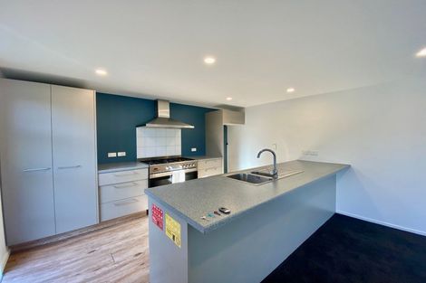 Photo of property in 87 Purchas Street, Edgeware, Christchurch, 8013