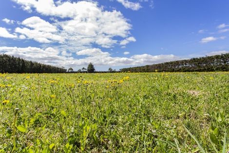Photo of property in 124 Fishers Road, Loburn, Rangiora, 7473