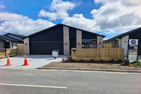 Photo of property in 11 Hinaki Street, Poike, Tauranga, 3112