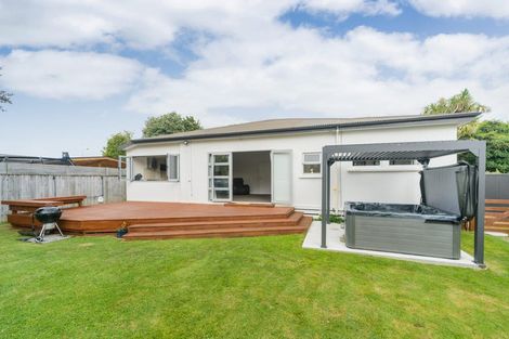 Photo of property in 53 Beattie Street, Feilding, 4702