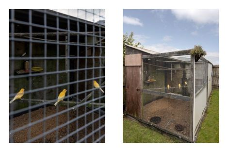 Photo of property in 76 Dalton Drive, Papamoa Beach, Papamoa, 3118