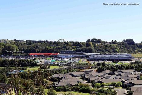 Photo of property in 49 Pyes Pa Road, Pyes Pa, Tauranga, 3112