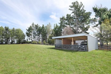 Photo of property in 255 Calico Line, Marton, 4787