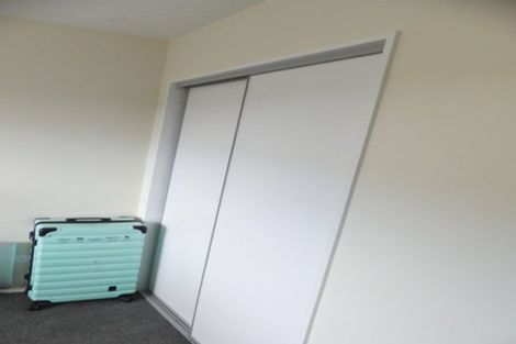 Photo of property in 44a Birdwood Avenue, Beckenham, Christchurch, 8023