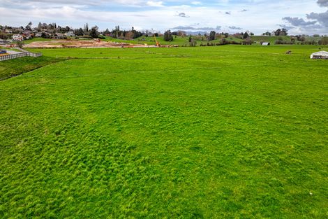 Photo of property in 650 Cambridge Road, Te Awamutu, 3800