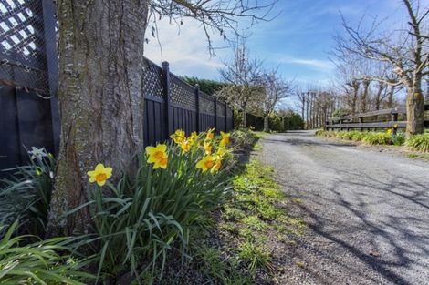 Photo of property in 305 Lehmans Road, Fernside, Rangiora, 7471