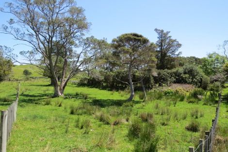 Photo of property in 1030 Colville Road, Amodeo Bay, Coromandel, 3584