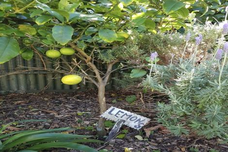 Photo of property in 53 Owen Street, Newtown, Wellington, 6021