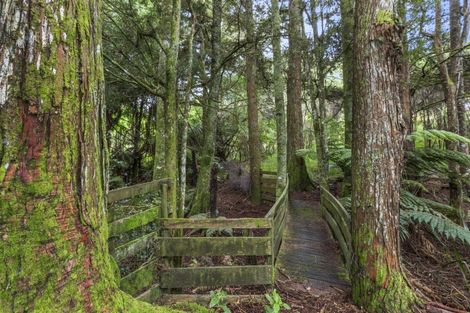 Photo of property in 102 Waitetuna Valley Road, Waitetuna, Raglan, 3295