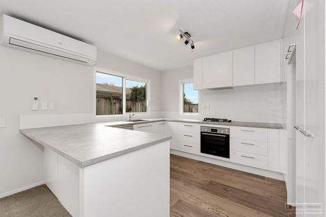 Photo of property in 52d Fifth Avenue, Enderley, Hamilton, 3214