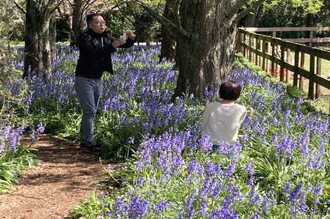 Photo of property in 125 Matangi Road, Matangi, Hamilton, 3284