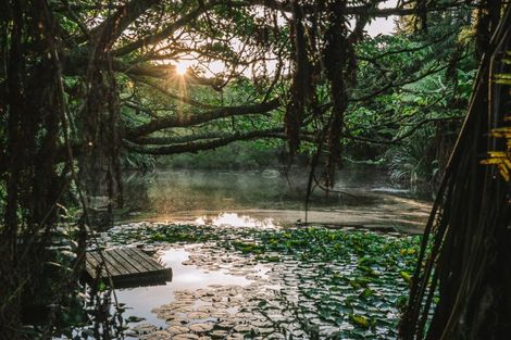 Photo of property in 70a Neewood Road, Ohauiti, Tauranga, 3173