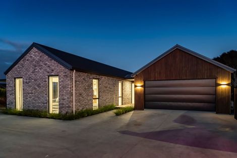 Photo of property in 145b Ranfurly Road, Feilding, 4775