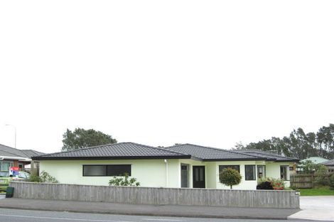 Photo of property in 24 Mangorei Road, Strandon, New Plymouth, 4312