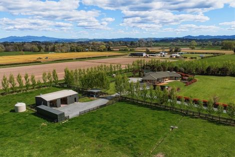 Photo of property in 95a Limmer Road, Te Kowhai, Hamilton, 3288