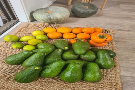 Photo of property in 18 Glengarry Avenue, Manly, Whangaparaoa, 0930