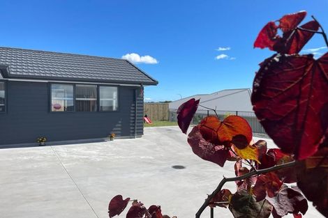 Photo of property in 5 Nottingham Road, Omokoroa, 3114
