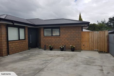 Photo of property in 10a Leicester Street, Terrace End, Palmerston North, 4410