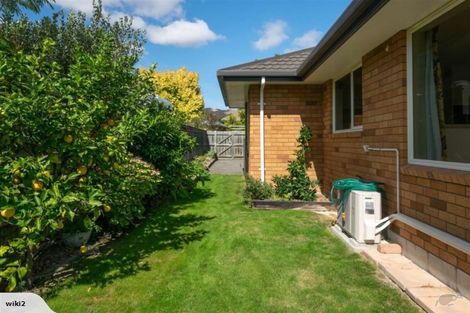 Photo of property in 1 Elmwood Avenue, Witherlea, Blenheim, 7201