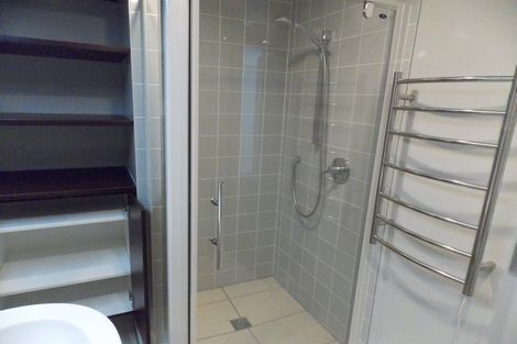 Photo of property in Republic Apartments, 6f/11 Tennyson Street, Te Aro, Wellington, 6011