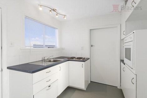 Photo of property in 84 Mathesons Road, Phillipstown, Christchurch, 8011