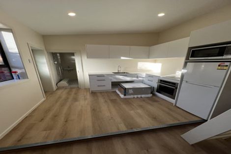 Photo of property in 45 Scarba Street, Roslyn, Dunedin, 9010