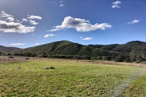 Photo of property in 17 William Dale Place, Wakefield, 7025