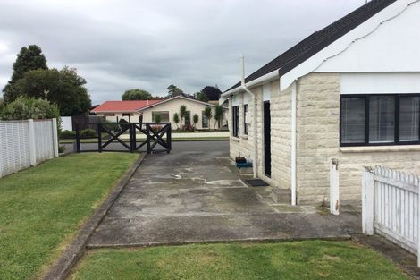 Photo of property in 3 Martin Harvey Street, Levin, 5510