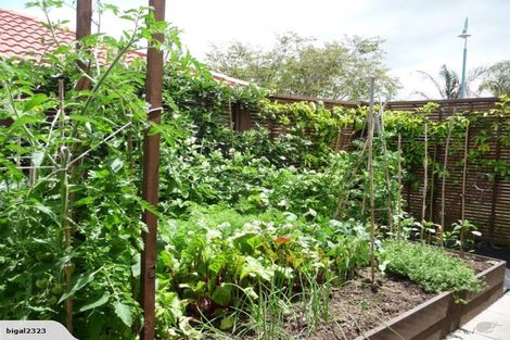 Photo of property in 5 Turnberry Close, Aongatete, Katikati, 3178