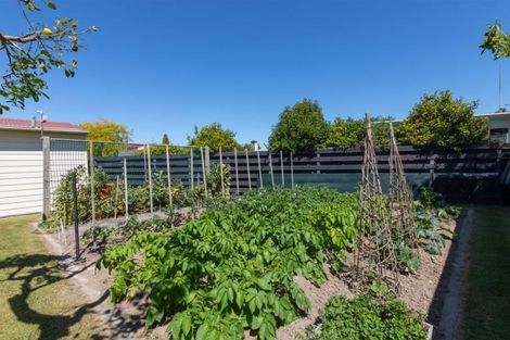 Photo of property in 16 Ilford Place, Awapuni, Palmerston North, 4412