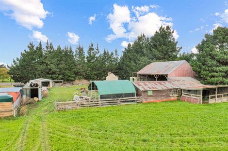 Photo of property in 17 Wilkinsons Road, Chertsey, Ashburton, 7772