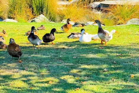 Photo of property in 3 Jacques Way, Yaldhurst, Christchurch, 8042