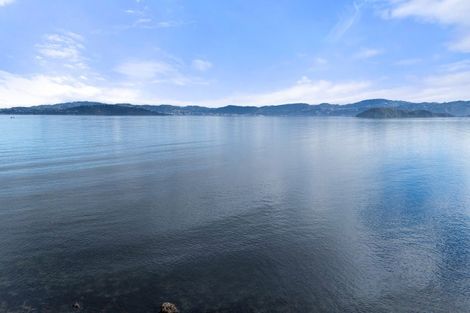 Photo of property in 503 Marine Drive, Sunshine Bay, Lower Hutt, 5013