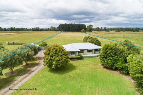Photo of property in 159 Kawakawa Road, Feilding, 4775