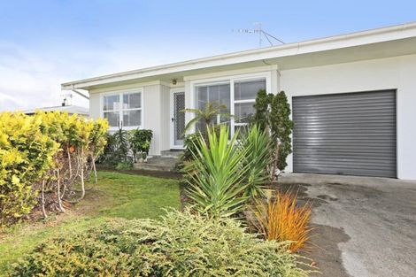 Photo of property in 43 Clark Avenue, Pirimai, Napier, 4112