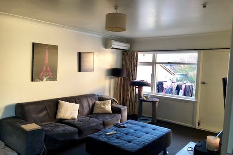 Photo of property in 88 Caledonian Road, St Albans, Christchurch, 8014