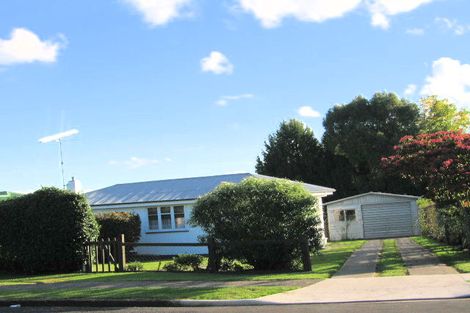 Photo of property in 17 Totara Street, Putaruru, 3411