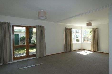 Photo of property in 117 Aro Street, Aro Valley, Wellington, 6021