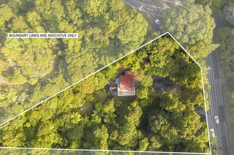 Photo of property in 110 Piha Road, Piha, New Lynn, 0772