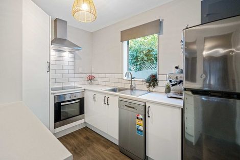 Photo of property in 1/53 Mathesons Road, Phillipstown, Christchurch, 8011